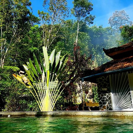Mi Casa - The Gem Of Ijen Hotel Бануванги Екстериор снимка