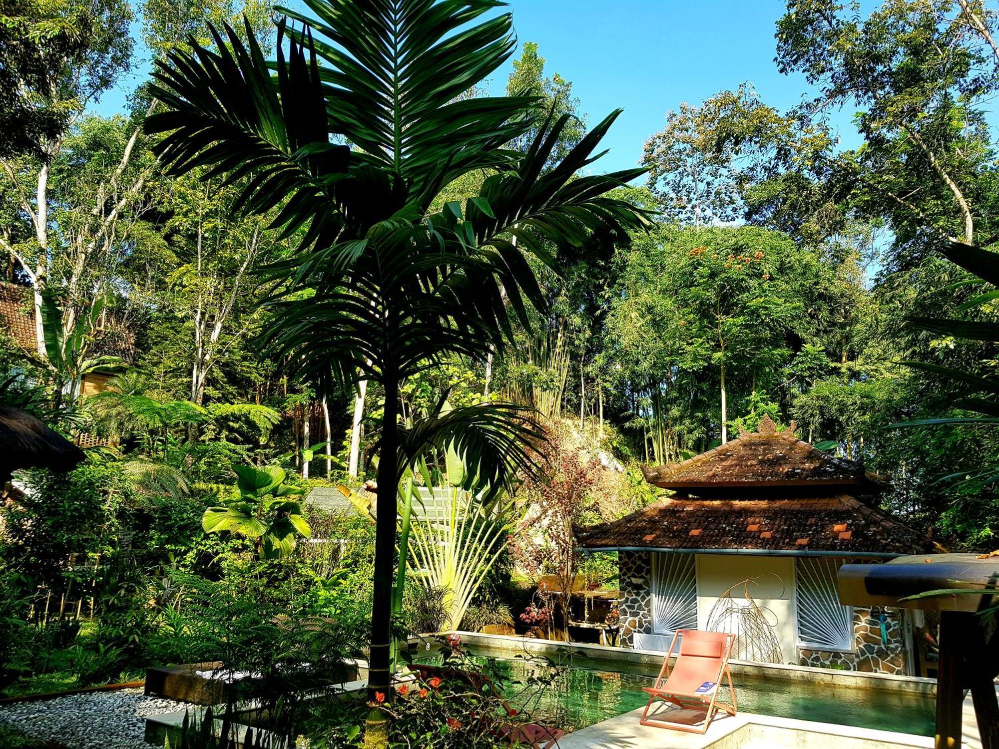 Mi Casa - The Gem Of Ijen Hotel Бануванги Екстериор снимка