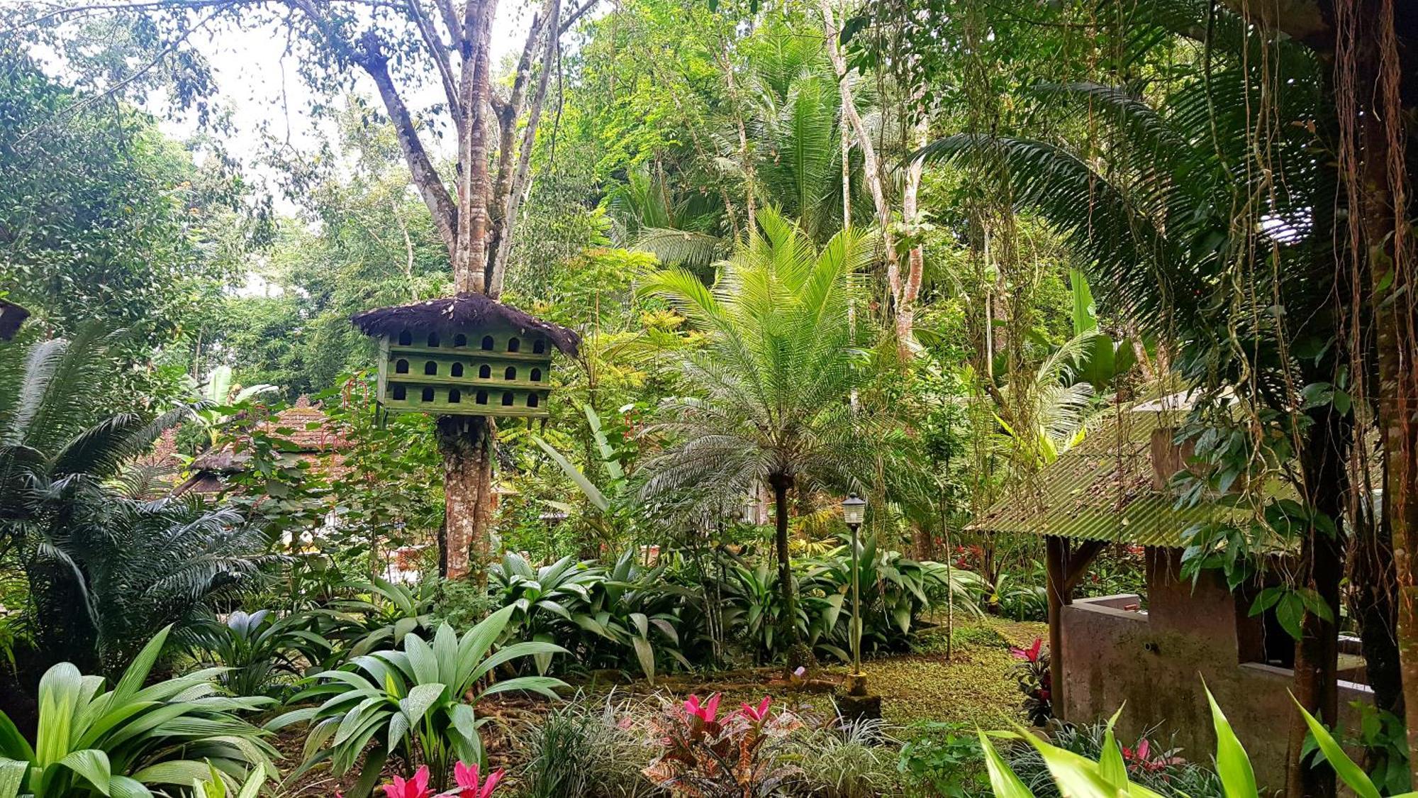 Mi Casa - The Gem Of Ijen Hotel Бануванги Екстериор снимка