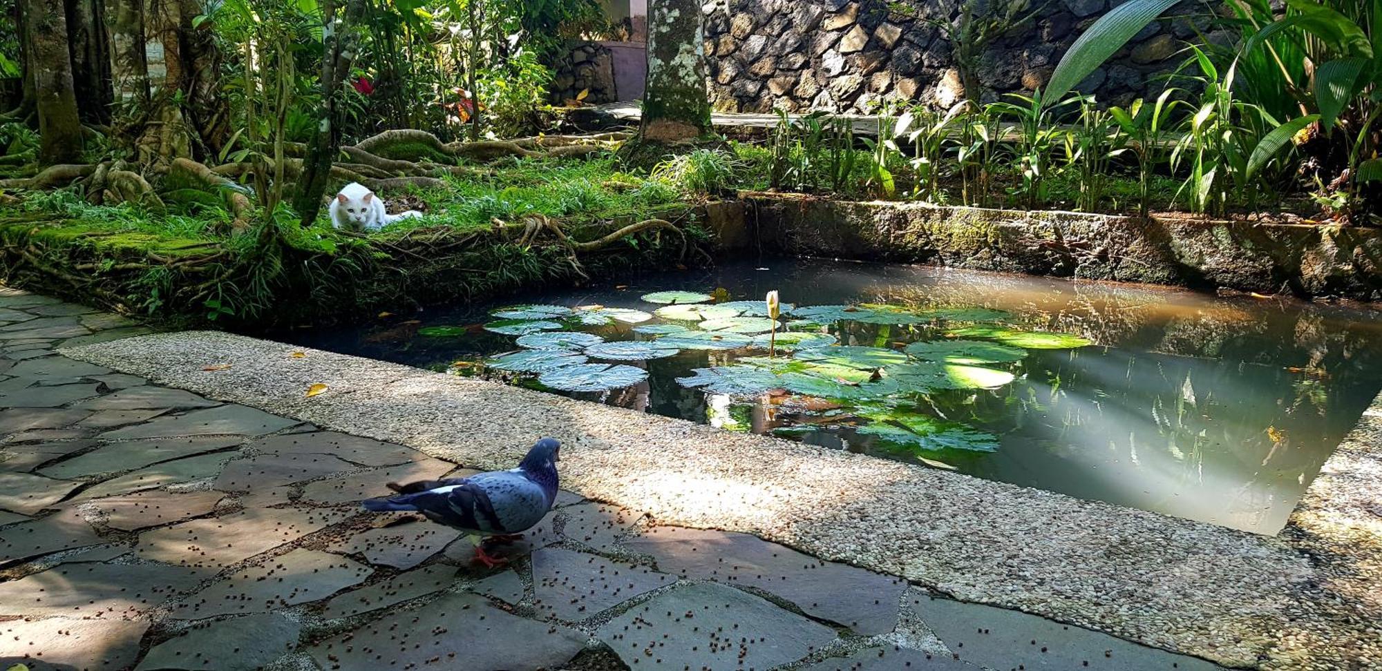 Mi Casa - The Gem Of Ijen Hotel Бануванги Екстериор снимка