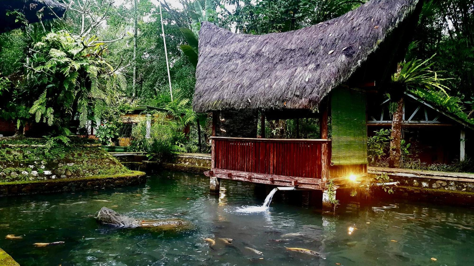 Mi Casa - The Gem Of Ijen Hotel Бануванги Екстериор снимка