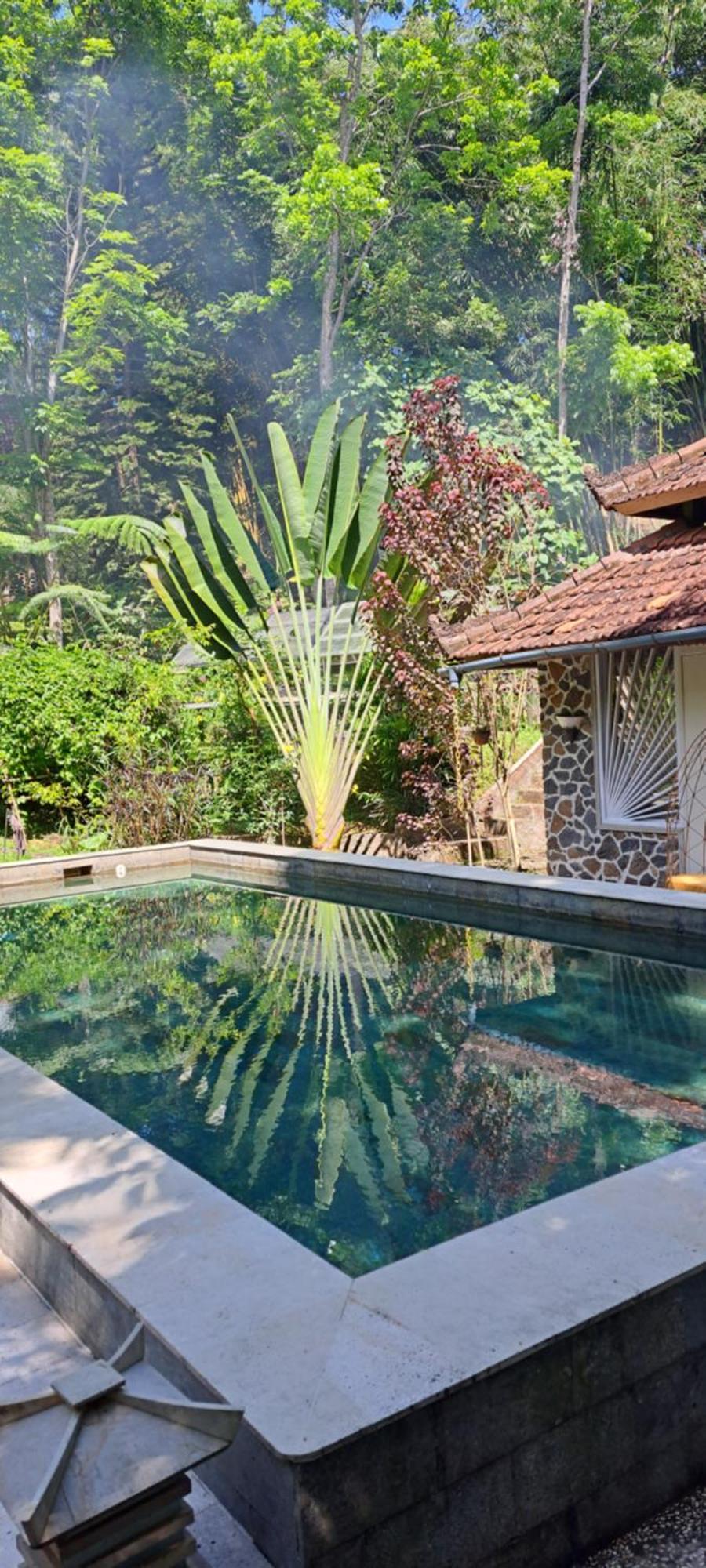 Mi Casa - The Gem Of Ijen Hotel Бануванги Екстериор снимка